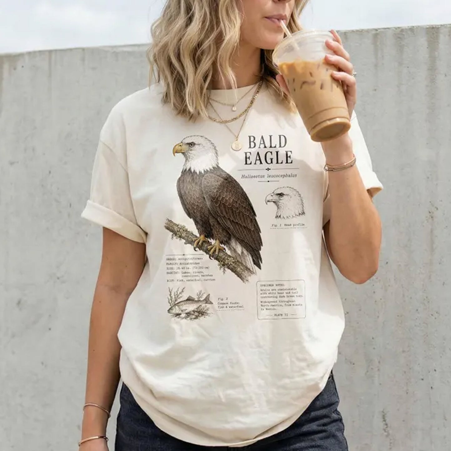 Bald Eagle Birds Of Prey Shirt - Biology Field Guide Page Graphic Tee