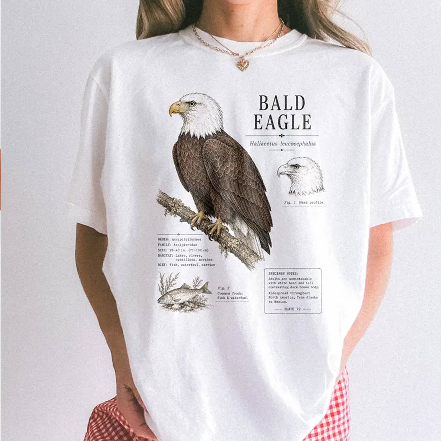 Bald Eagle Birds Of Prey Shirt - Biology Field Guide Page Graphic Tee