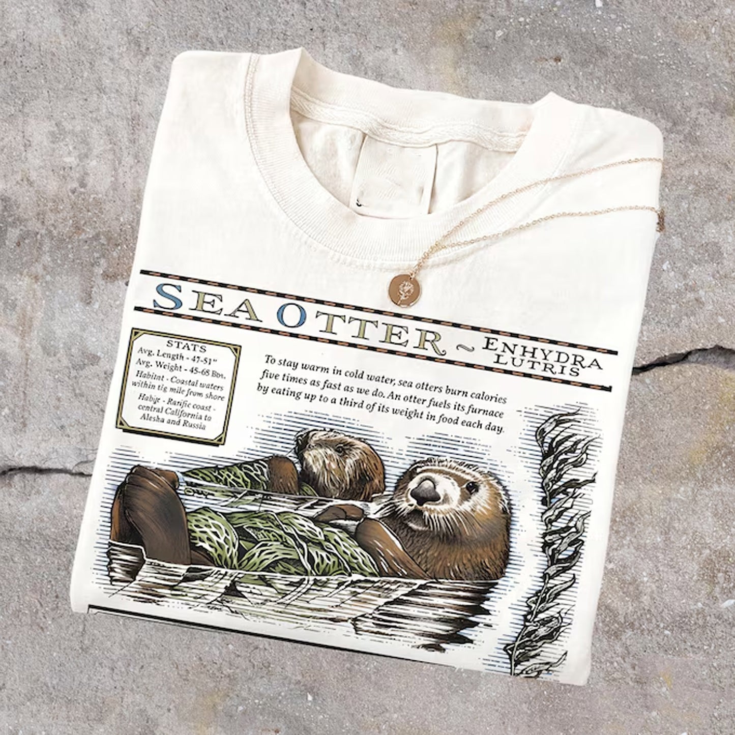 Sea Otters Monterey Bay Aquarium Shirt