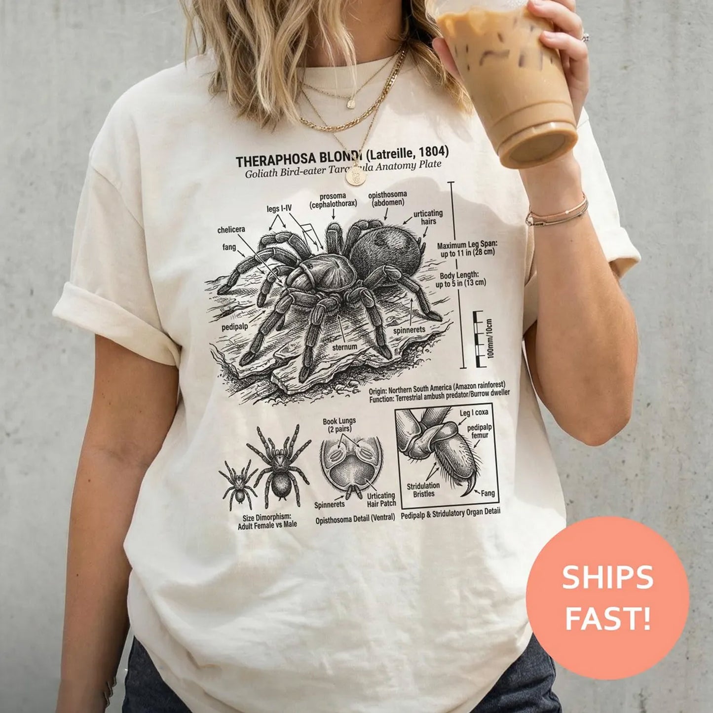 Goliath Tarantula Anatomy Shirt, Tarantula Anatomy TShirt