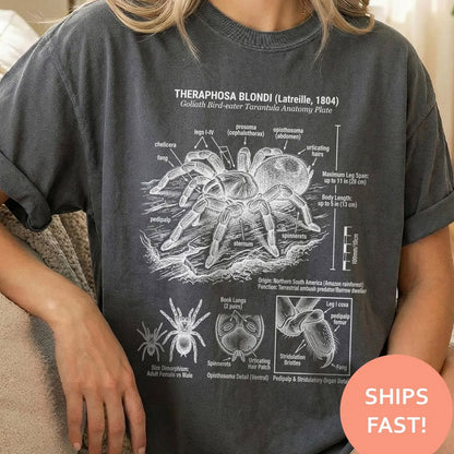 Goliath Tarantula Anatomy Shirt, Tarantula Anatomy TShirt