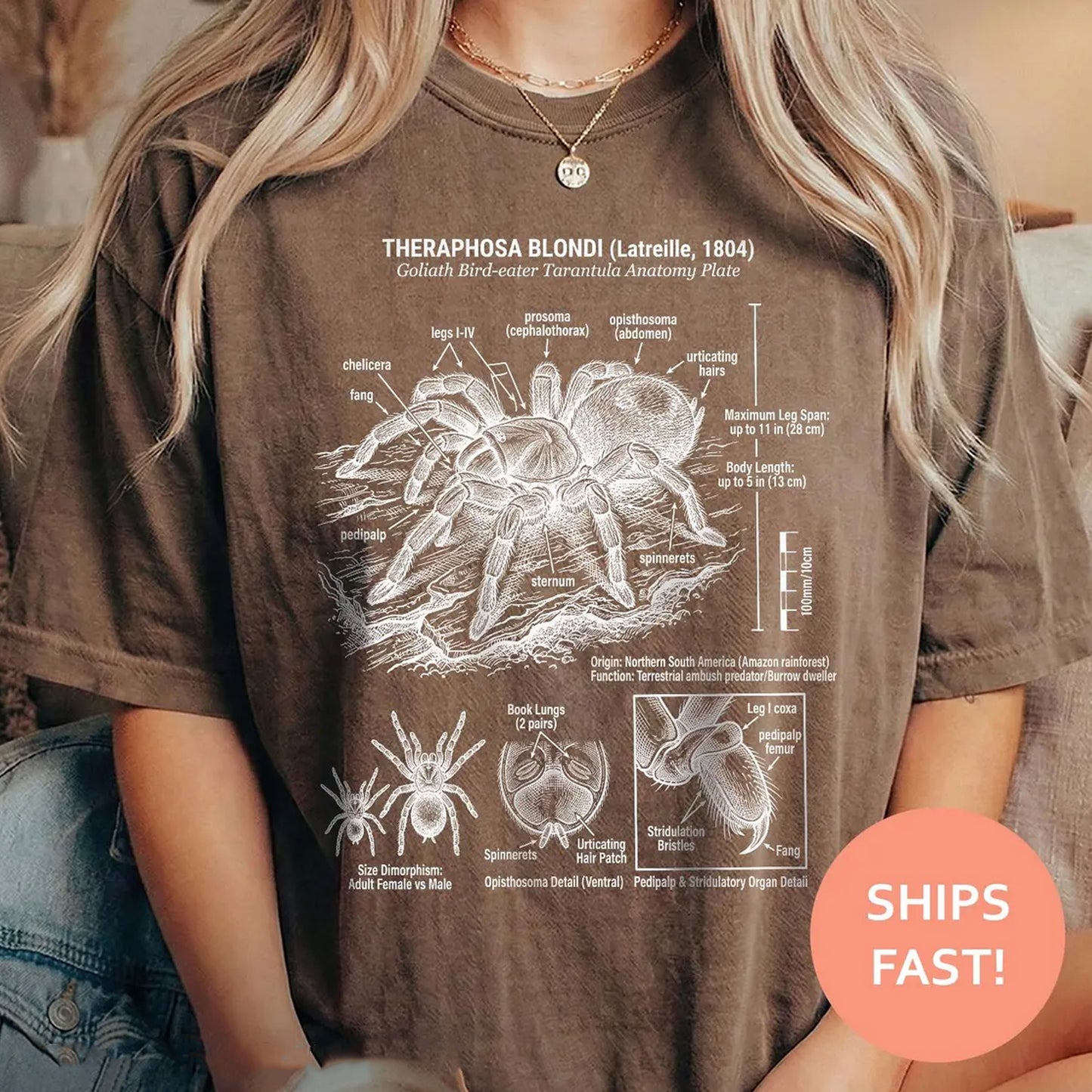 Goliath Tarantula Anatomy Shirt, Tarantula Anatomy TShirt