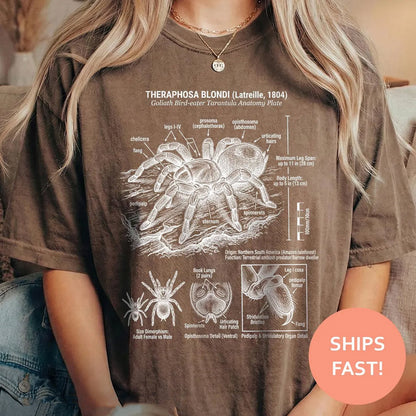 Goliath Tarantula Anatomy Shirt, Tarantula Anatomy TShirt